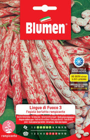 SEMI FAGIOLI BORLOTTI RAMPICANTI LINGUA DI FUOCO 3