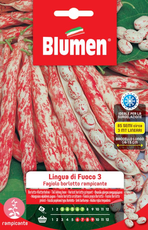 SEMI FAGIOLI BORLOTTI RAMPICANTI LINGUA DI FUOCO 3