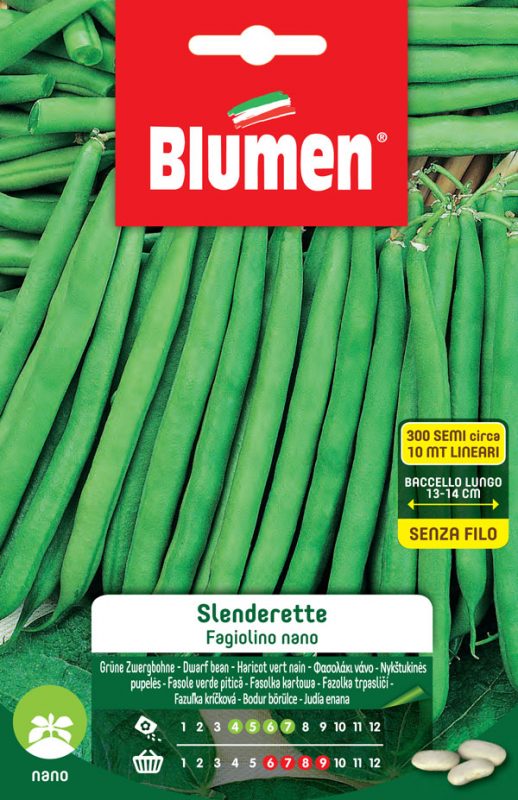 SEMI FAGIOLINI NANI SLENDERETTE BLUMEN