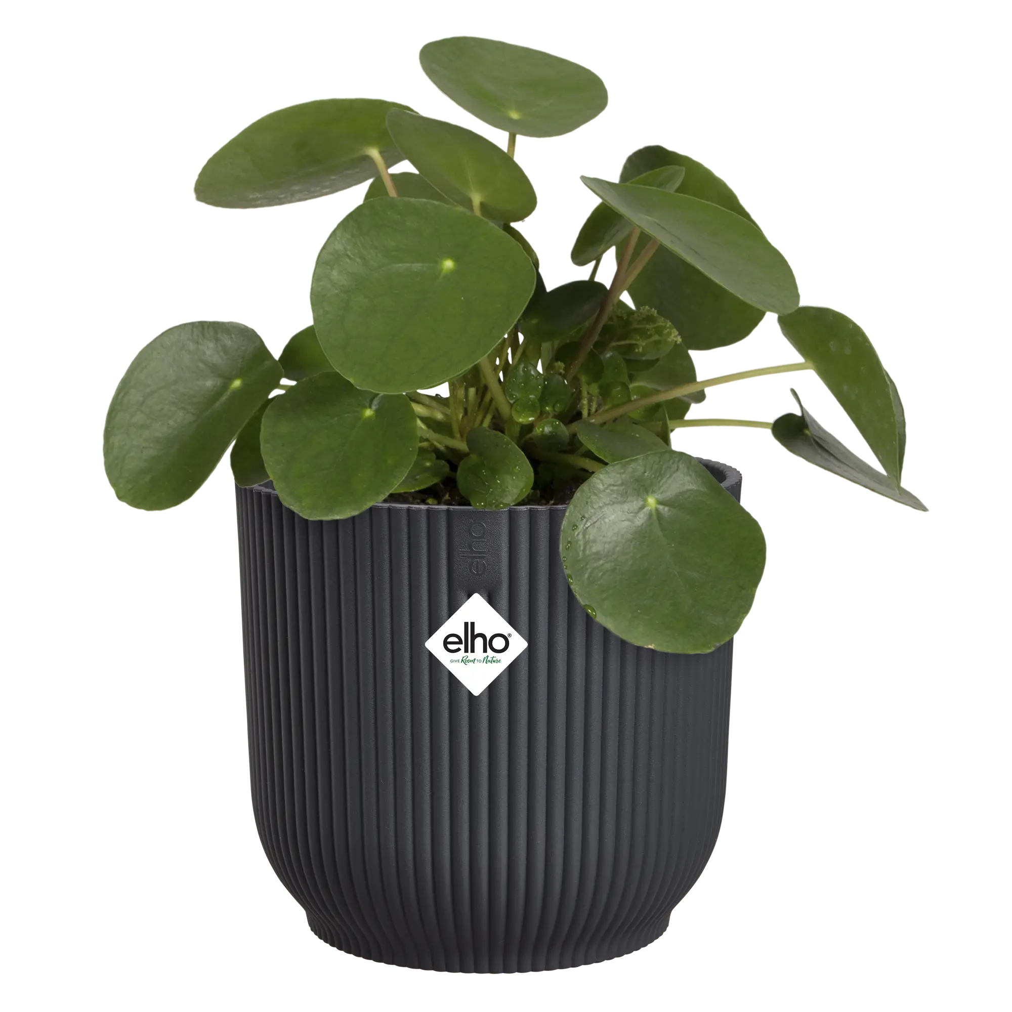 Vaso Vibes Fold Round D 18 x h 17 cm Antracite ELHO