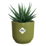 Vaso Vibes Fold Round Mini D 11cm H 11cm Verde felce ELHO