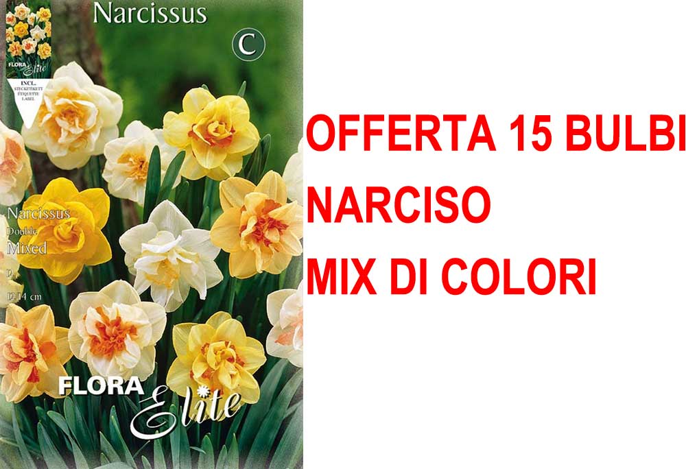 OFFERTA 15 BULBI BULBI NARCISO DOUBLE MIX