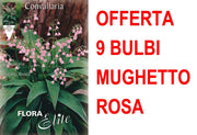 OFFERTA 9 BULBI MUGHETTO ROSA CONVALLARIA MAJALIS ROSEA