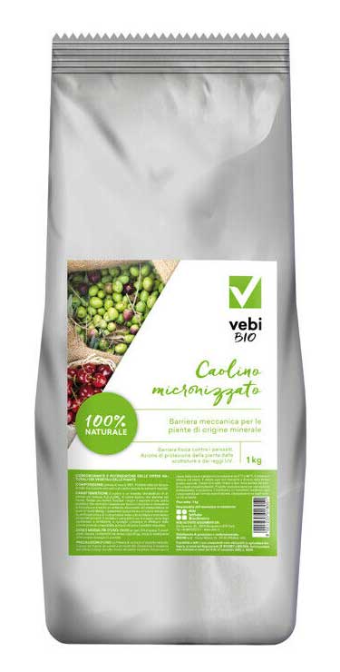 CAOLINO MICRONIZZATO PW 1KG