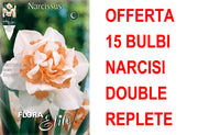 OFFERTA 15 BULBI NARCISO REPLETE
