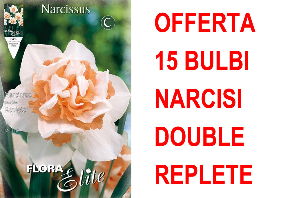 OFFERTA 15 BULBI NARCISO REPLETE