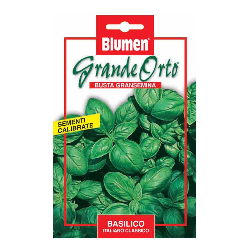 SEMI BASILICO GENOVESE MAXI ORTO BLUMEN