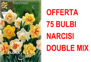 OFFERTA 75 BULBI BULBI NARCISO DOUBLE MIX