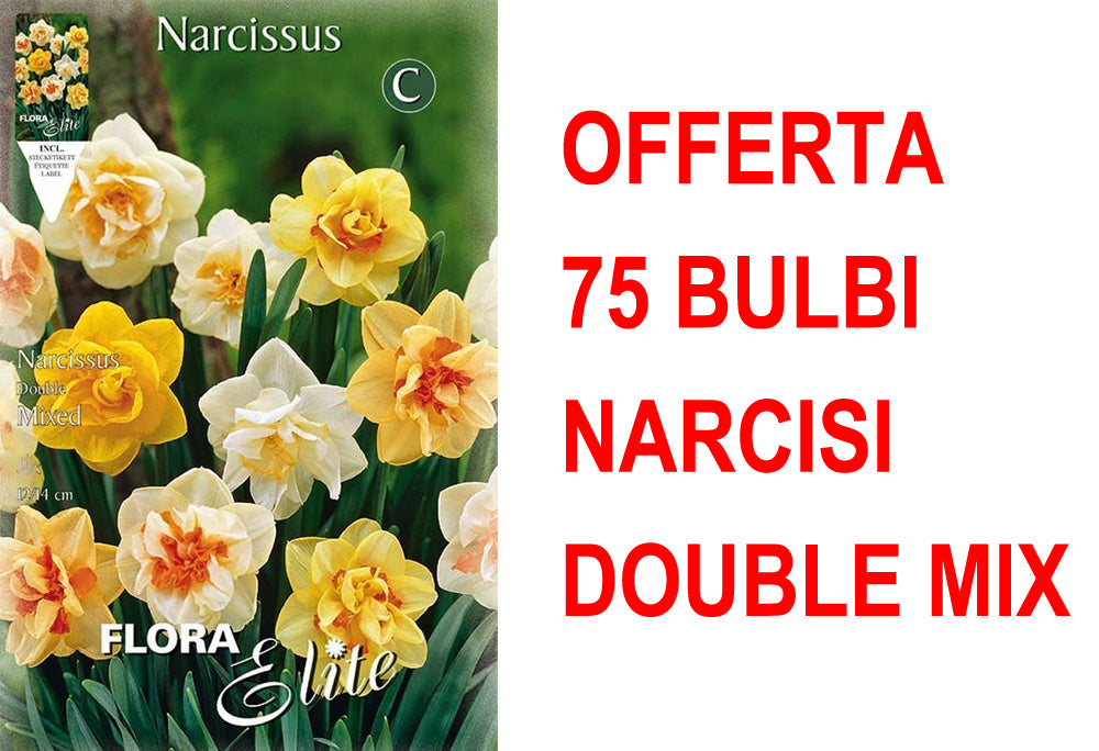 OFFERTA 75 BULBI BULBI NARCISO DOUBLE MIX