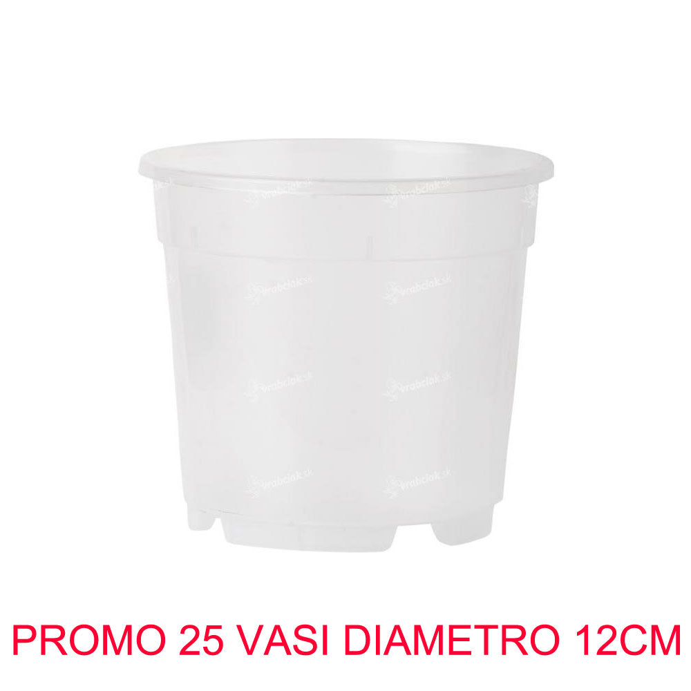 25 VASI PER ORCHIDEE Ø12CM TRASPARENTI