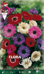 ANEMONE CORONARIA ST. BRIGID (CONFEZIONE 20 BULBI)
