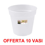 OFFERTA 10 VASO ORCHIDEE GREEN BASICS ORCHID 15CM TRASPARENTE