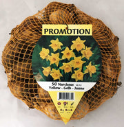 OFFERTA 50 NARCISI YELLOW DAFFOLDILS