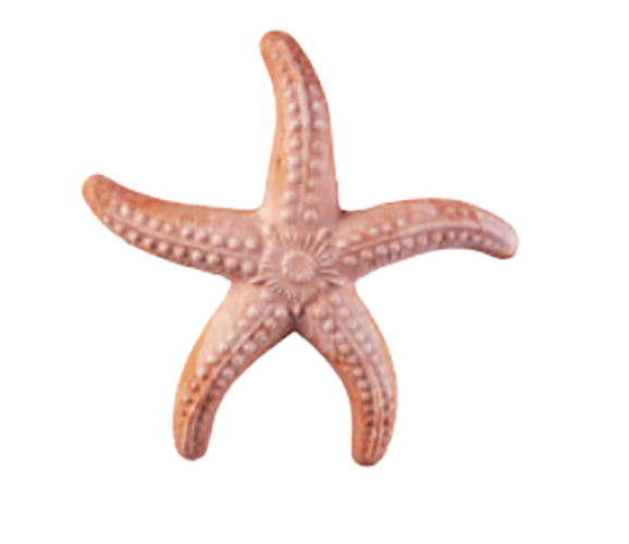 STELLA MARINA PICCOLA 17CM IN TERRACOTTA