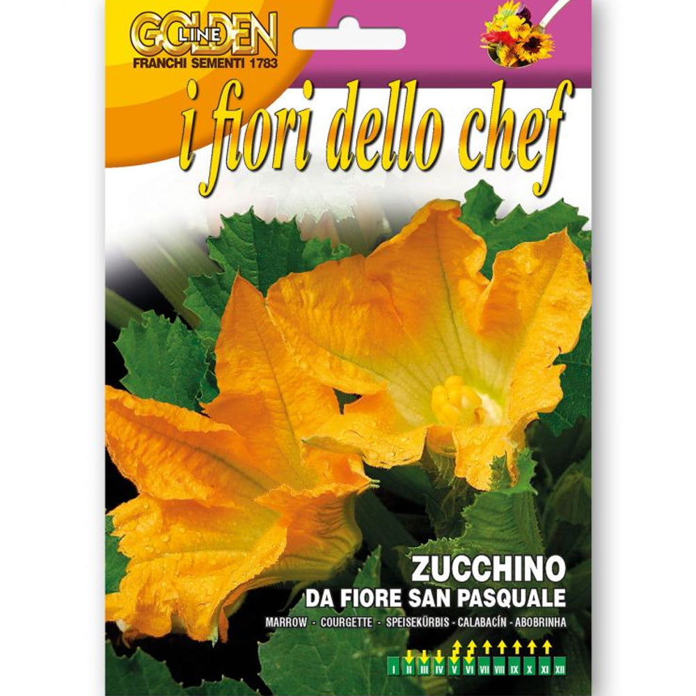 SEMI DI ZUCCHINO DA FIORE